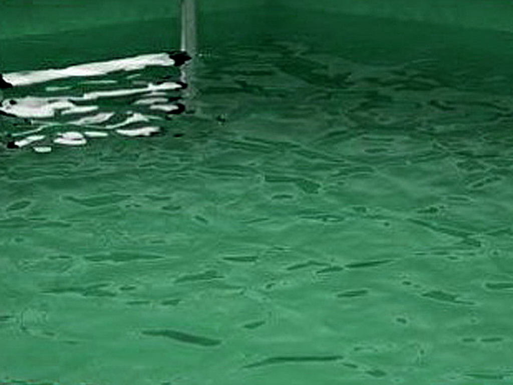 Liner pour piscine hors-sol Ubbink rectangulaire 350 x 505 x H126cm epaisseur 75/100eme beige
