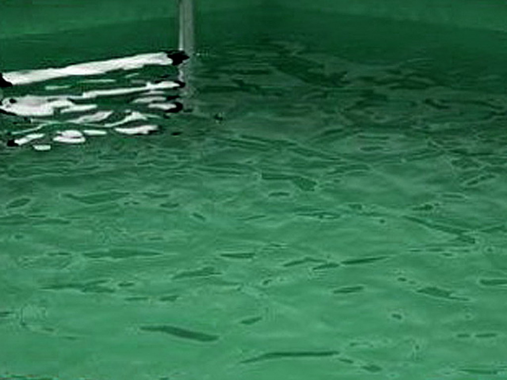 Liner pour piscine hors-sol Ubbink rectangulaire 500 x 1100 x H140cm epaisseur 75/100eme beige