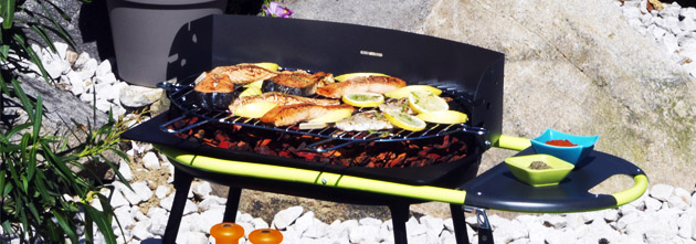 Barbecue Somagic QOOKA F550 au charbon de bois - Somagic, une marque de renom depuis 30 ans