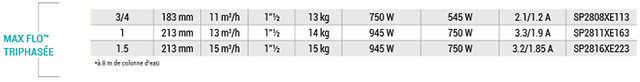 Pompe Max Flo Hayward triphasee - Caractéristiques techniques de la pompe Max Flo Hayward triphasée