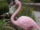 Figurine de jardin FLAMANT ROSE Ubbink H90 cm - Autre vue