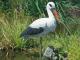 Figurine de jardin CIGOGNE Ubbink H88 cm - Autre vue