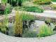 Bassin de jardin prefabrique MARS RT1 Ubbink - Autre vue