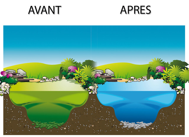 UVC ALGCLEAR 55000 pour filtres bassins Ubbink - UVC ALGCLEAR 55000 pour filtres bassins Ubbink Une technique ultra efficace