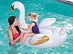 Bouee gonflable piscine Bestway chevauchable cygne 122x122cm - Autre vue