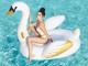 Bouee XXL gonflable piscine Bestway CYGNE 169x169cm 1 place - Autre vue