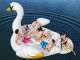 Bouee geante gonflable piscine Bestway CYGNE 429x330cm 6 personnes - Autre vue