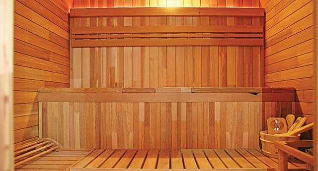 Sauna a vapeur d'exterieur GAIA NOVA 6 places - Avantages du sauna à vapeur d'extérieur GAIA NOVA