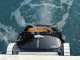 Robot piscine electrique Dolphin E35 avec chariot - Autre vue