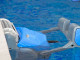 Robot piscine electrique Dolphin MS4 avec chariot - Autre vue