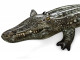 Bouee animal gonflable a chevaucher Bestway Reptile Crocodile 193 x 94cm - Autre vue