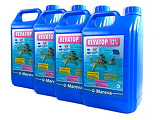 Traitement rattrapage eau verte REVATOP 12% 2 x 5 L Mareva - Autre vue