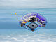Robot piscine sans fil Niya Sonar F1 by Maytronics - Autre vue