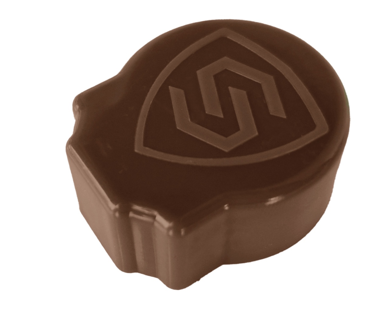 Bouchon d'origine MARRON CHOCOLAT Securipool barriere piscine