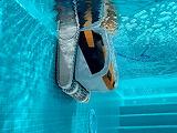 Robot piscine electrique Dolphin E60i - Autre vue