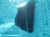 Robot piscine electrique Dolphin LIBERTY 400 sans fil - Autre vue